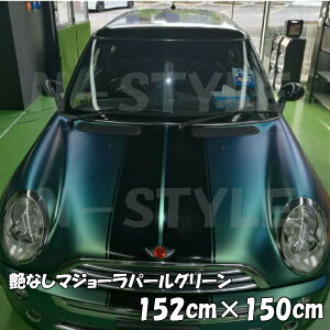 J[bsOV[g Ȃ}W[p[O[ 152cm×150cm t[N}W[JI Lkat