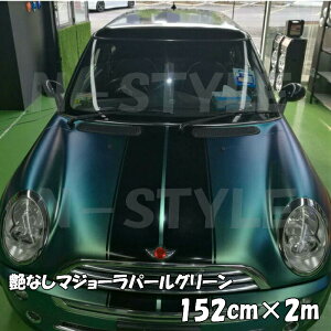 J[bsOV[g Ȃ}W[p[O[ 152cm×2m t[N}W[JI Lkat