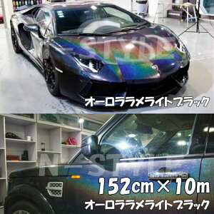 J[bsOV[g 152cm×10m I[胉CgubN J[bsOtB ϔMϐȖʑΉaیt JbeBO p[