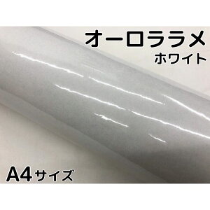 J[bsOV[g A4TCY I[zCg J[bsOtB ϔMϐȖʑΉaیt JbeBO  p[zCg