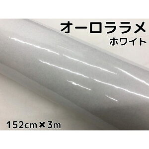 J[bsOV[g 152cm×3m I[zCg J[bsOtB ϔMϐȖʑΉaیt JbeBO  p[zCg