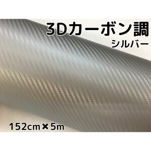 3DJ[{V[g 152cm×5m Vo[  J[bsOV[gtB ϔMϐȖʑΉat JbeBOV[g plA{lbgA[t
