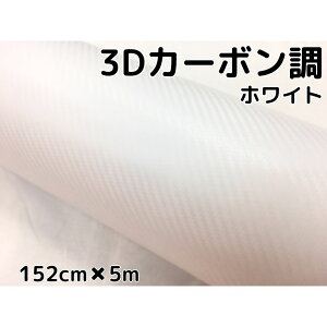 3DJ[{V[g 152cm×5m zCg  J[bsOV[gtB ϔMϐȖʑΉat JbeBOV[g ԓO