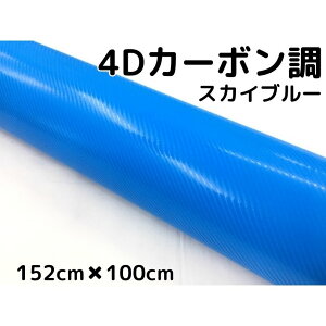 4DJ[{V[g 152cm×100cm XJCu[ J[bsOV[gtB ϔMϐȖʑΉat JbeBOV[g Lk