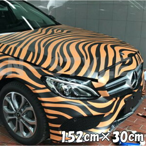 J[bsOV[g 152cm×30cm g ՕbsOtB ^CK[ ϔMϐȖʑΉat JbeBOV[g ToQ[ Jt[W