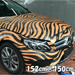 J[bsOV[g 152cm×150cm g ՕbsOtB ^CK[ ϔMϐȖʑΉat JbeBOV[g ToQ[ Jt[W