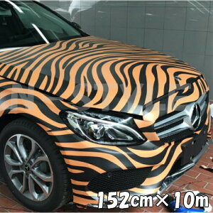 J[bsOV[g 152cm×10m g ՕbsOtB ^CK[ ϔMϐȖʑΉat JbeBOV[g ToQ[ Jt[W