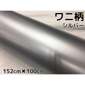 J[bsOV[g 152cm×100cm jVo[ bsOtB ϔMϐȖʑΉat JbeBOV[g NR_CU[