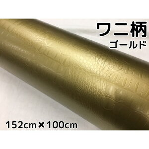 J[bsOV[g 152cm×100cm jS[h bsOtB ϔMϐȖʑΉat JbeBOV[g NR_CU[