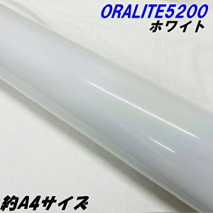 ˃V[g ICg5200 A4TCY zCg ORALITEKXr[Y˃tB  ItHJbeBOV[g ˃XebJ[ ؂蕶 