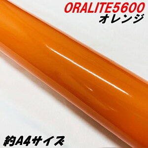 ˃V[g ICg5600 A4TCY IW ORALITEKXr[YPx˃tB  ItH ˃V[XebJ[ ԗp  Tv 