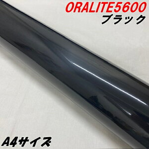 ˃V[g ICg5600 A4TCY ubN ORALITEKXr[YPx˃tB  ItH ˃V[XebJ[ ԗp  Tv 