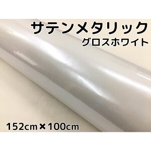 Te^bNOX 152cm×100cm  zCg J[bsOV[gtB ϔMϐȖʑΉ aیtBt bsOtB