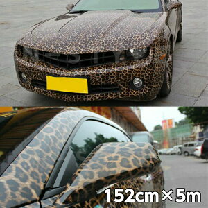 J[bsOV[g 152cm×5mqE 胉bsOtB ϔMϐȖʑΉat JbeBOV[g ToQ[ ^Jt[W