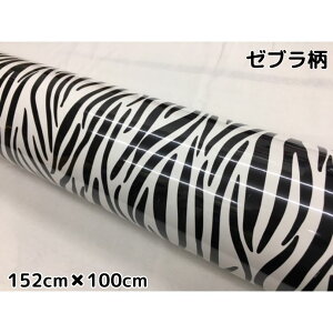 J[bsOV[g 152cm×100cm V}E} [u 胉bsOtB ϔMϐȖʑΉat JbeBOV[g ToQ[ Jt[W