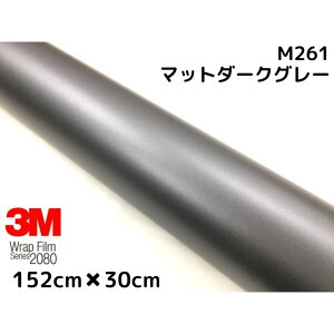 3M bsOV[g 152cm×30cm }bg_[NO[ 2080V[YM261 J[bsOtB _CmbNԗp 1080pf