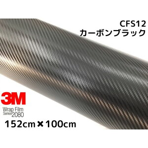 3M bsOV[g 152cm×100cmubN 2080V[YCFS12 J[{V[g J[bsOtB _CmbNԗp 1080pf