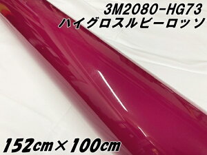 3MbsOV[g 152cm×100cm nCOX r[b\ 2080-HG73 򉐂 1m {h[nJ[bsOtB J[bvtB یtBt