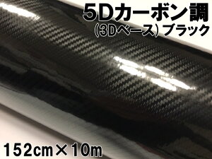 5DJ[{V[g152cm×10m ubN J[bsOV[gtB 3Dx[X ϔMϐȖʑΉat JbeBOV[g 荕 {lbg [t