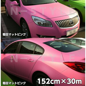 J[bsOV[g eڃ}bgsN 152cm×30m J[bsOtB ϔMϐȖʑΉat JbeBOV[g 