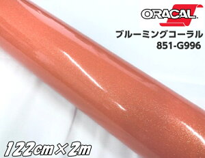 ORACAL 851-996 �u���[�~���O�R�[���� 122cm×2m �I���J�� �T�[�����s���N�n �O���b�^�[���^���b�N �����胉���J�b�e�B���O�V�[�g �؂蕶�� �X�e�b�J�[
