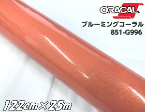 ORACAL 851-996 u[~OR[ 122cm×25m IJ Ob^[^bN 胉JbeBOV[g XebJ[ V[