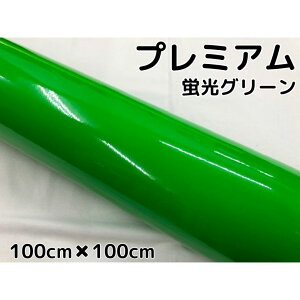 bsOV[gv~AuO[ 100cm×100cm J[bsOV[gtB ϔMϐȖʑΉ JbeBOV[g