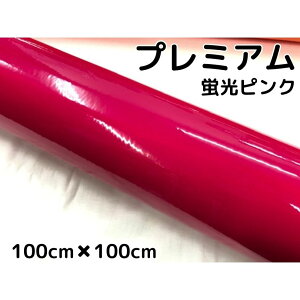 bsOV[gv~AusN 100cm×100cm J[bsOV[gtB ϔMϐȖʑΉ JbeBOV[g