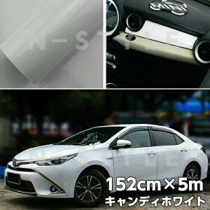 J[bsOV[g LfBzCg152cm×5m 蔒nCOXJ[bsOtBϔMϐȖʑΉat JbeBOV[g