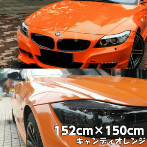 J[bsOV[g LfBIW152cm×150cm nCOXJ[bsOtBϔMϐȖʑΉat JbeBOV[g