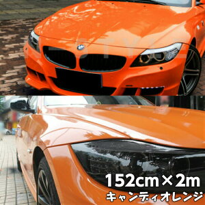 J[bsOV[g LfBIW152cm×2m nCOXJ[bsOtBϔMϐȖʑΉat JbeBOV[g