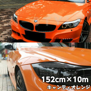 J[bsOV[g LfBIW152cm×10m nCOXJ[bsOtBϔMϐȖʑΉat JbeBOV[g