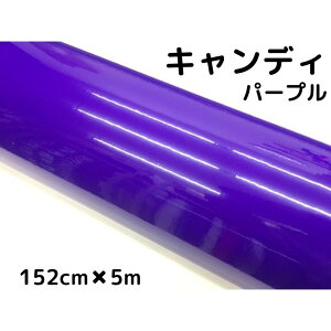 J[bsOV[g LfBp[v152cm×5m 莇FnCOXJ[bsOtBϔMϐȖʑΉat JbeBOV[g