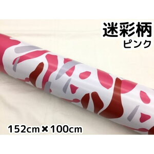 J[bsOV[g 152cm×100cm sN bsOtB ϔMϐȖʑΉat JbeBOV[g ToQ[ Jt[W