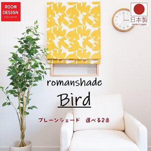  [}VF[h k h J[e I[_[J[eh[v VF[h n  킢 {