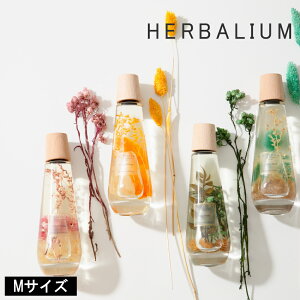 s݌ɌPT×20t[ HERBALIUM fBt[U[ M ] BOTANICA {^jJ n[oE  키 y ǂ V z ǂ bNX j[gn[u zCgeB[ EbfB X