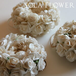 �yPT×10�z[ Sola Flower �\���t�����[ �G���K���g���[�X ����t�� ] ���� �\���̖� �V�R�f�� �W���X�~�� �s�[�` �}�O�m���A �s�I�j�[ �I�����W �V���� ��� �������� �����Y ���f�B�[�X ������ ��