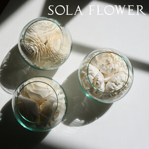 �yPT×10�z[ Sola Flower �\���t�����[ �\�����E�� ����t�� ] ���� �\���̖� �V�R�f�� �W���X�~�� �s�[�` �}�O�m���A �s�I�j�[ �I�����W �V���� ��� �������� �����Y ���f�B�[�X ������ ������� 