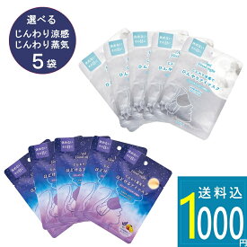 選べる 2種類 [ And Good night アンドグッドナイト じんわり涼感でひんやりアイマスク / じんわり蒸気でほどけるアイマスク 5袋セット ] 選べる 2種類 安眠グッズ ホットアイマスク 疲れ目 目のケア あたためる むくみ 冷やす おしゃれ アイマスク 使い捨て 癒し 目