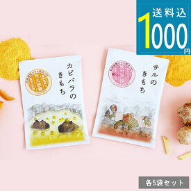 1000円ポッキリ送料無料[ サル / カピバラのキモチ 薬用入浴剤 5回分 ] 温浴 疲れ 冷え性 癒し ショウガ ユズ 入浴剤 お風呂 バス バスパウダー かわいい 買い回り マラソン お得