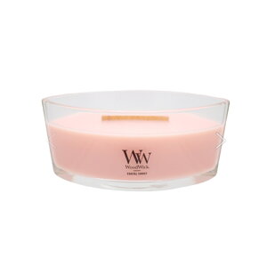 �y15%OFF�N�[�|���z[ �E�b�h �E�B�b�N �W���[ �n�[�X�E�B�b�N �L�����h�� ���t�� ] ���� �F�ؔ̔��X �R�Ď��� ��40���� ���l�� ���x���_�[ �z���C�g�e�B�[ white tea �W���X�~�� �p�`�p�`�� �h�� 