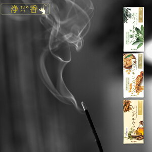 1000~|bL |Cg10{ [  ߂ zCgZ[W / tLZX / T_Ebh ] Xs`A _   Y {  ǂɂ AEghA Y fB