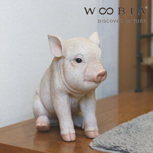 s10%OFFN[|t [ Ԃ WOOBIA ] e[N ݑ  CeA  Vv ʔG G Q xbhTCh ʏ \t@ GgX L  q l 