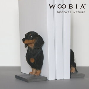 s10%OFFN[|t [ _bNXth̖{ WOOBIA ] e[N ݑ  CeA  book stand Vv ʔG G Q xbhTCh ʏ fXN[N ׋ p\R