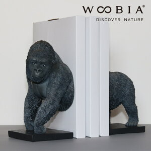 s10%OFFN[|t [ S̖{ WOOBIA ] e[N ݑ  CeA  book stand Vv ʔG G Q xbhTCh ʏ fXN[N ׋ p\RfXN 
