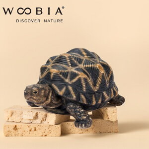 [ �z�V�K�� �� WOOBIA ] �e�����[�N �ݑ� ���� �C���e���A ���� �V���v�� �ʔ��G�� ��������G�� �Q�� �x�b�h�T�C�h ���ʏ� �\�t�@�� �G���g�����X �L�� �������� �q�� ��l �v���[���g