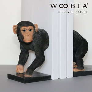 sPT×10t [ `pW[̖{ WOOBIA ] e[N ݑ  CeA  book stand Vv ʔG G Q xbhTCh ʏ fXN[N ׋ p\RfXN q