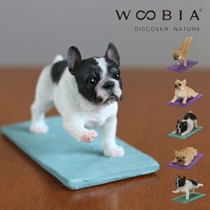 [ Kyރt`uhbO WOOBIA ] e[N ݑ  CeA  IuWF ʔG G Q xbhTCh ʏ fXN[N ׋ p\RfXN q l 