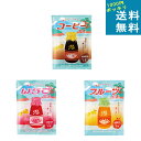 牛乳をお風呂に！？ 1000円送料無料 [ 魔法のバスオイル コーヒー牛乳・いちご牛乳・フルーツ牛乳 3袋セット ] 入浴料 スキンケア 疲労回復 肩こり 冷え性 半身浴 長風呂 冬 寒い 入浴 肌 なめらか 自宅 おうち お肌 ケア おしゃれ プレゼント 消耗品 乳白色 バスオイル