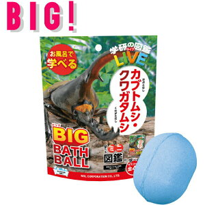 [ w̐} LIVE JugV JugV BIG oX{[ ] 1 gݍ킹 R Pi ΂甄 C   }XRbg oX ʔ  GKN-8-01